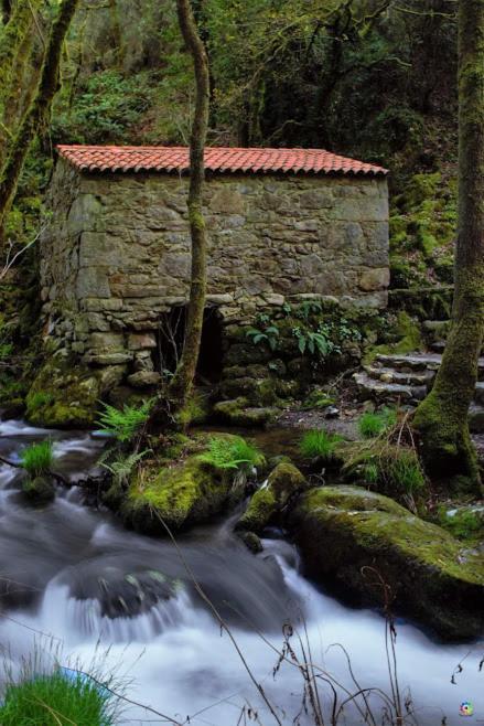 Eirixo Villa Valga Buitenkant foto